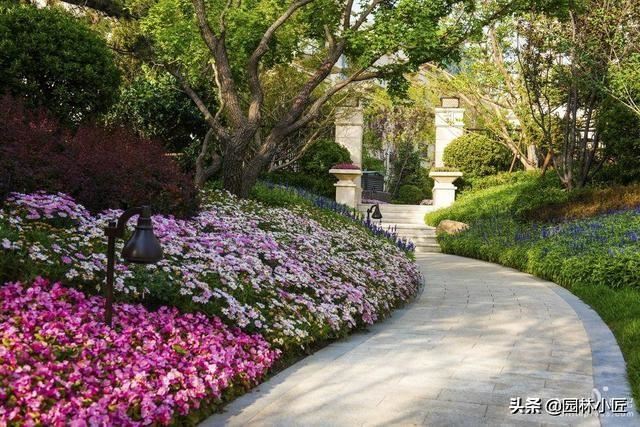 提高种植和管理移栽苗木的成活率，只需抓住这5点