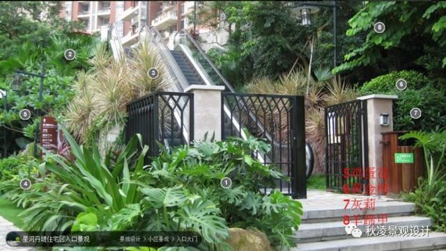 景观植物配置图，用实际案例来说话