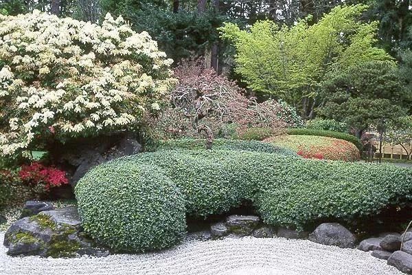 混合花境设计与种植建议！-园林景观干货