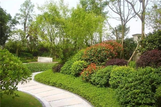 龙湖植物种植体系