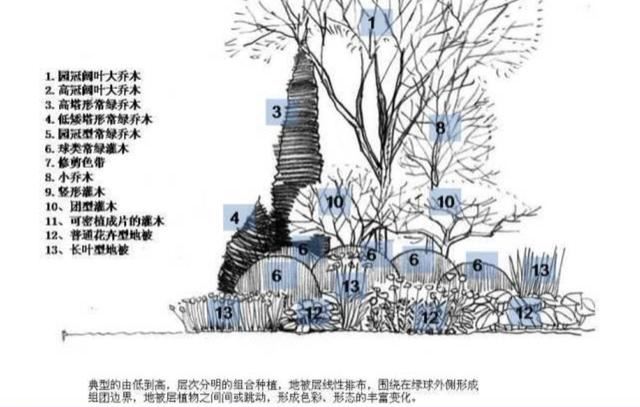 龙湖植物种植体系