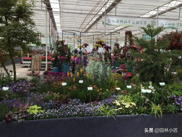 优秀花镜图片案例欣赏