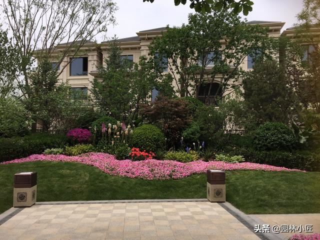 优秀花镜图片案例欣赏（二）
