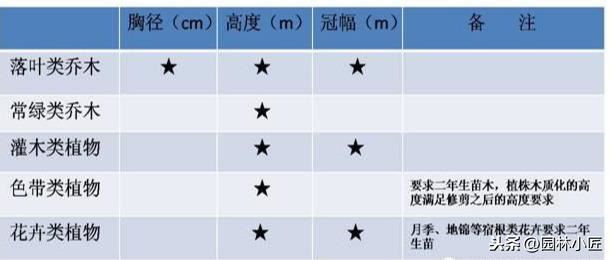 园林景观中，号苗工作