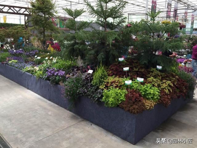 优秀花镜图片案例欣赏（二）