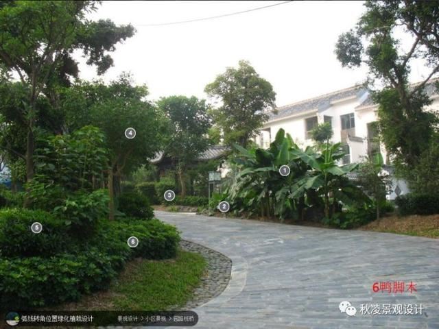 景观植物配置图，用实际案例来说话