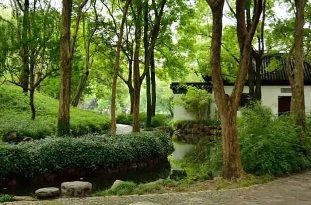 私家庭院：宜曲不宜直，移步换景到底是什么意思