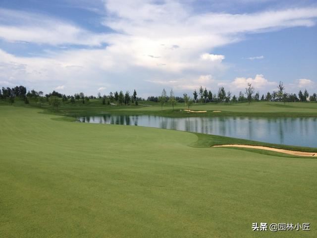 从绿化工程师的角度如何做好一个项目