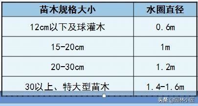 园林景观中，水圈施工工艺标准，行业内必懂