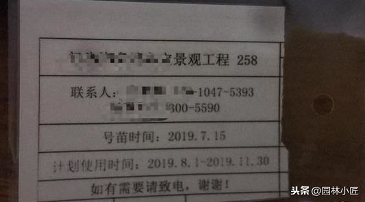 园林景观中，号苗工作