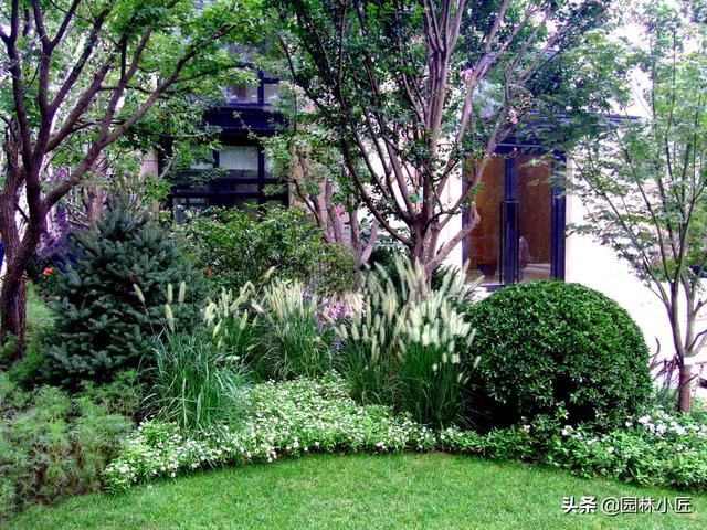 优秀花镜图片案例欣赏