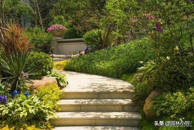 提高种植和管理移栽苗木的成活率，只需抓住这5点