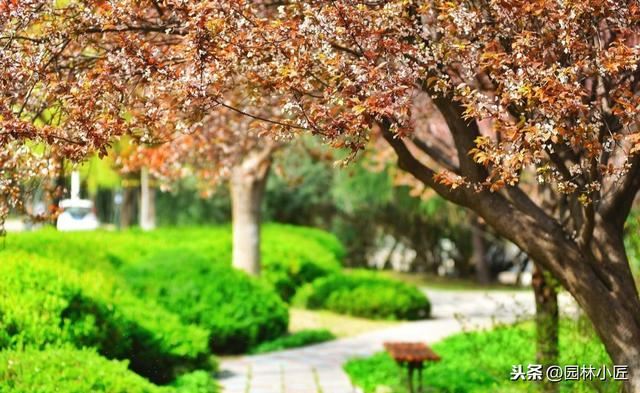 成功的园林绿化技术经理，每天、每周、每旬、每月都在做什么？