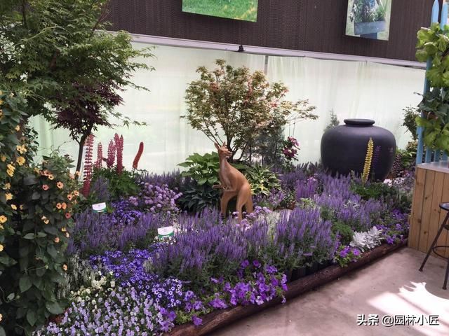 优秀花镜图片案例欣赏（二）
