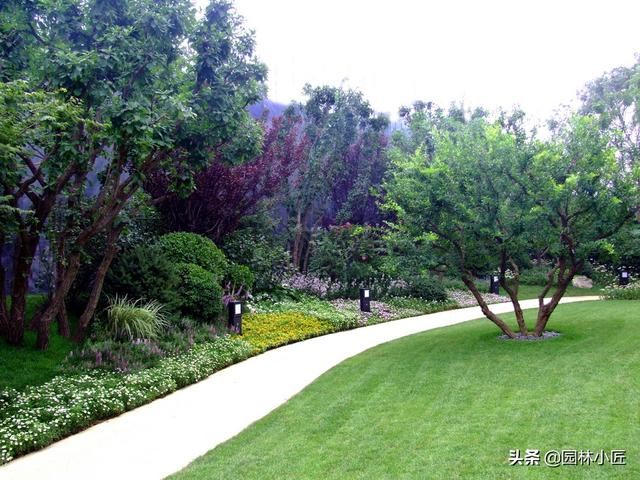 优秀花镜图片案例欣赏