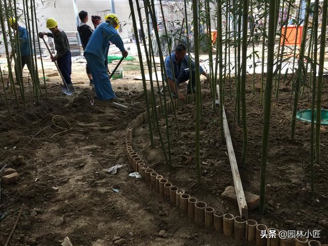 竹子在园林景观中的应用，创新不断，备受现代人的喜爱