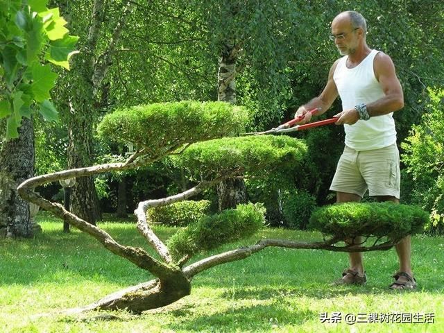 你看到美好的花园植物都要靠园艺师日常不断修正