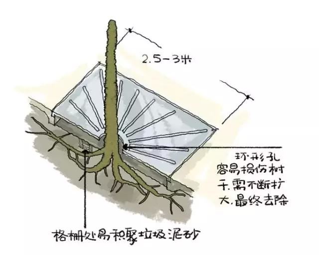 干园林景观设计的千万别说自己不清楚怎么栽树