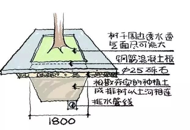 干园林景观设计的千万别说自己不清楚怎么栽树