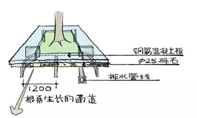 干园林景观设计的千万别说自己不清楚怎么栽树
