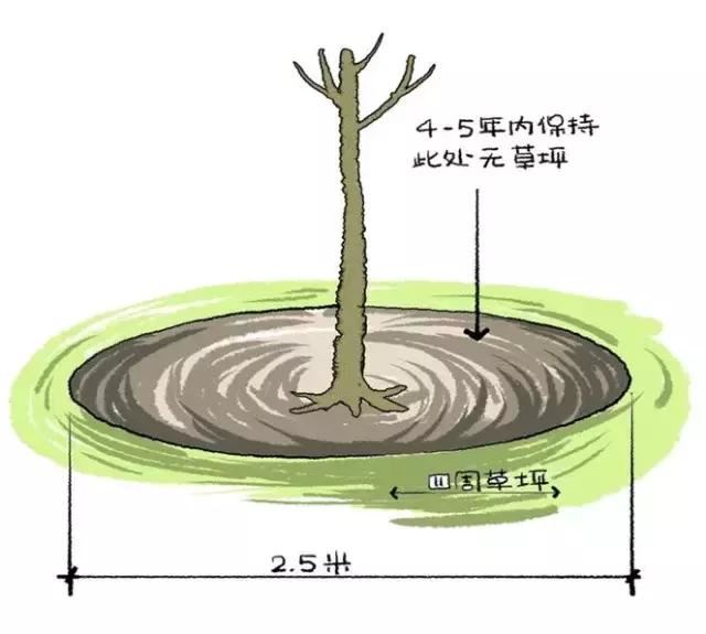 干园林景观设计的千万别说自己不清楚怎么栽树