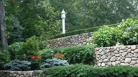 园林景观小知识，绿篱篇