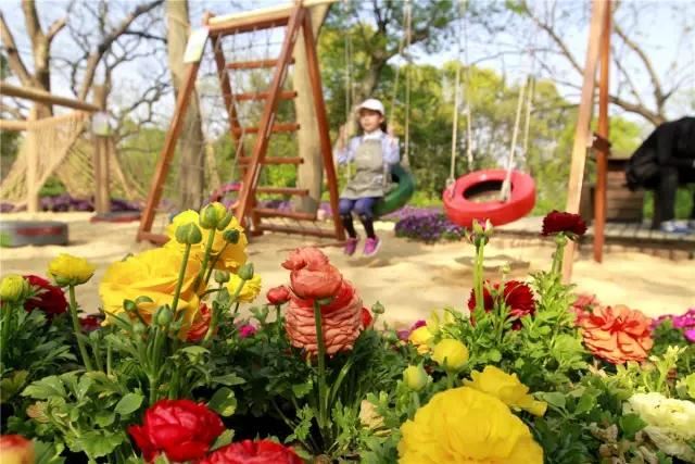 园林景观中的重头戏——植物景观设计