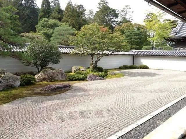 “美丽庭院”:四种类型庭院绿化植物选择