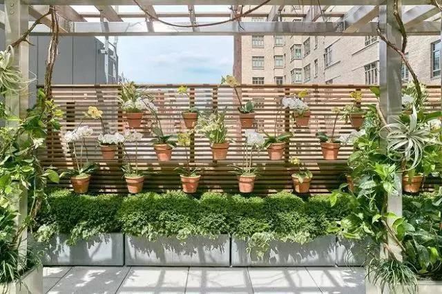 「植物在空间中的布局和应用」9个设计思路