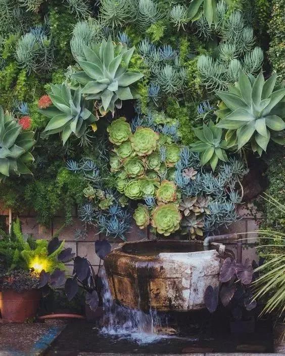 「植物在空间中的布局和应用」9个设计思路