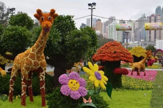 如何做好园林花坛设计？