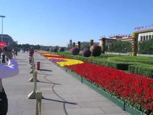 如何做好园林花坛设计？