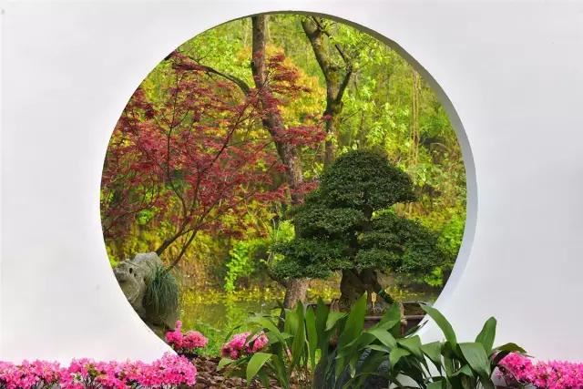 园林景观中的重头戏——植物景观设计