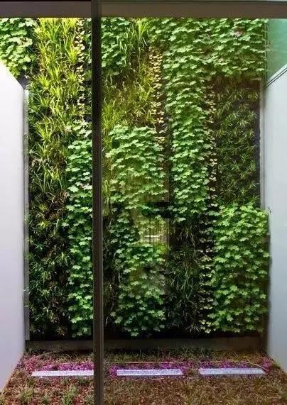 「植物在空间中的布局和应用」9个设计思路
