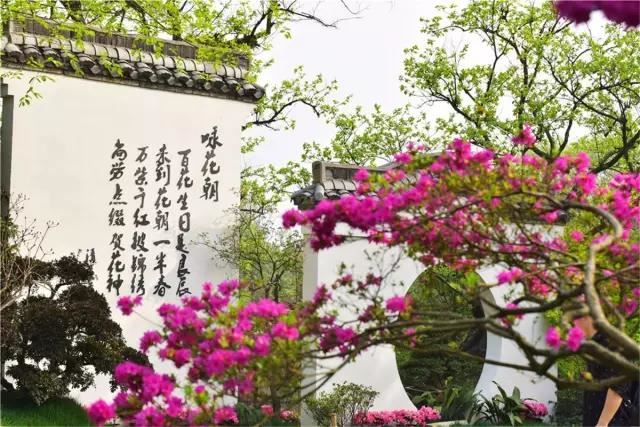 园林景观中的重头戏——植物景观设计