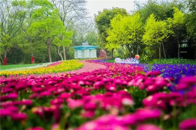 园林景观中的重头戏——植物景观设计