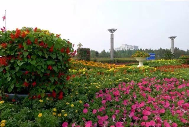 如何做好园林花坛设计？