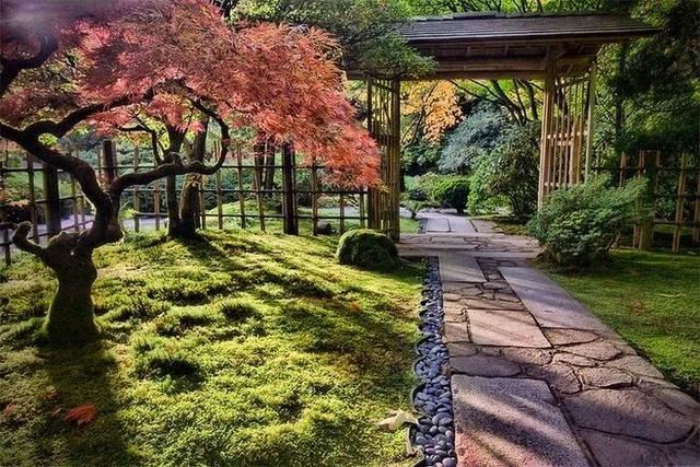 “美丽庭院”:四种类型庭院绿化植物选择