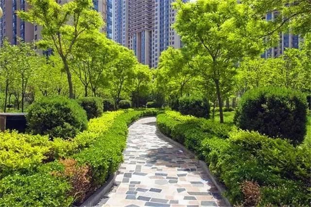 植物季相绝美空间营造，惊艳