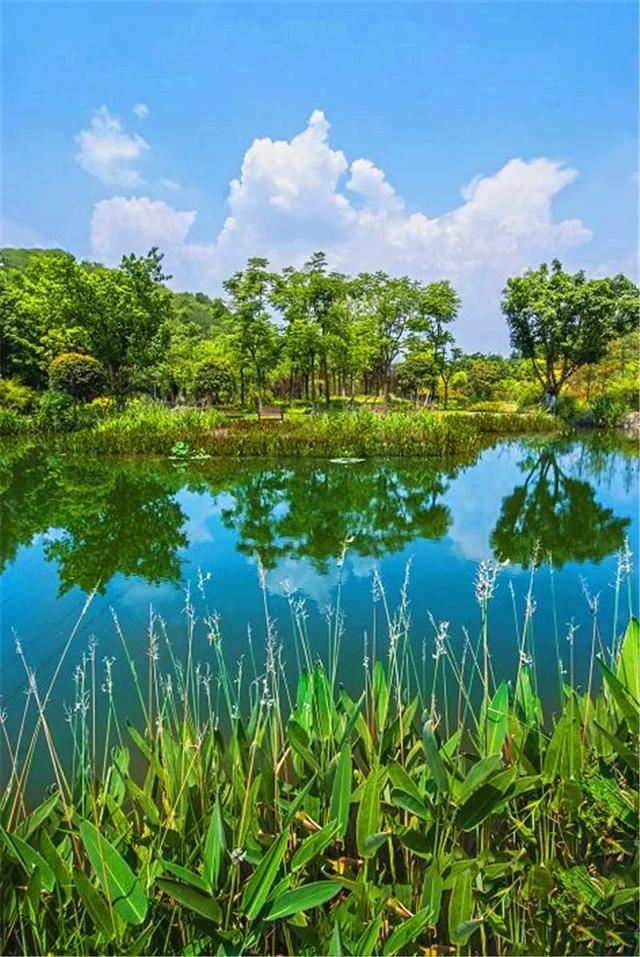 植物季相绝美空间营造，惊艳