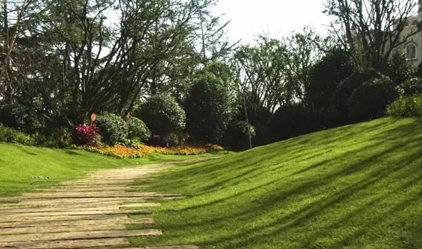 微地形，也可以是大景观