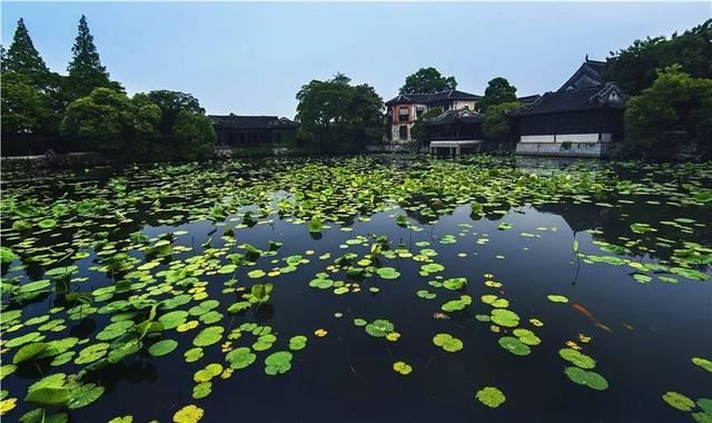 植物季相绝美空间营造，惊艳