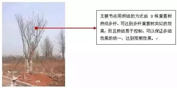 最专业的景观苗木种植设计思路