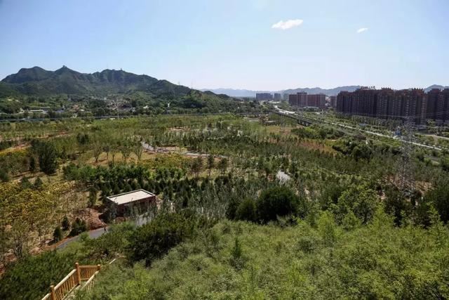 白河城市森林公园的生态景观设计