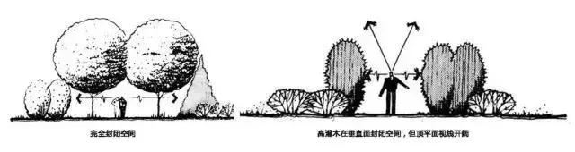 景观植物空间造景