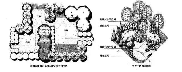 景观植物空间造景