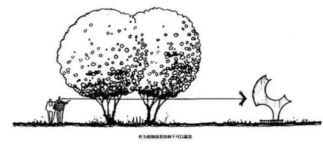 景观植物空间造景