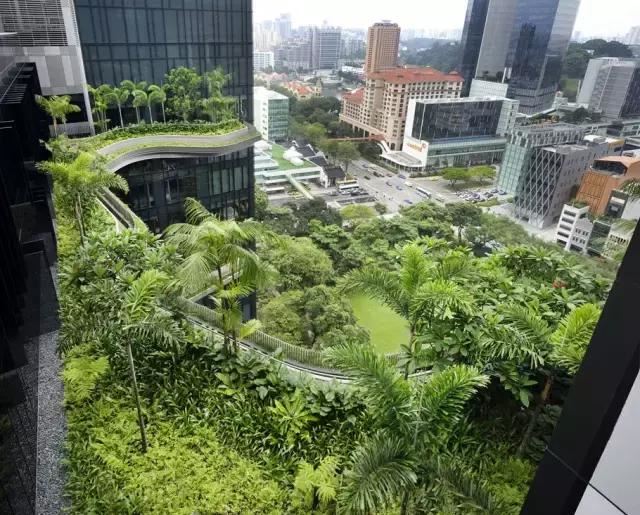 干货 | 屋顶园林景观的设计要点