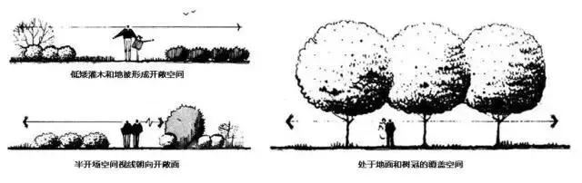 景观植物空间造景