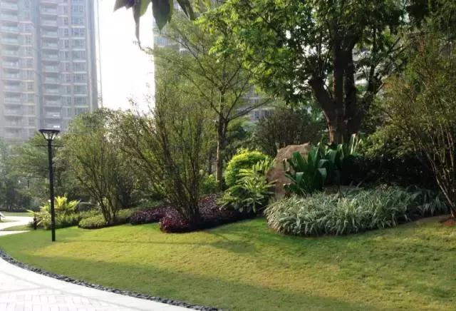 园林景观设计如何选择地被植物？